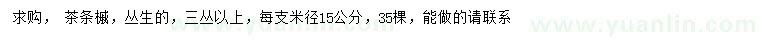 求購米徑15公分茶條槭