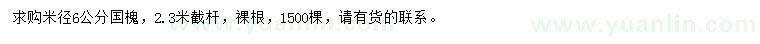 求購米徑6公分國槐