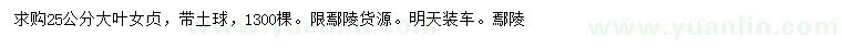 求購25公分大葉女貞