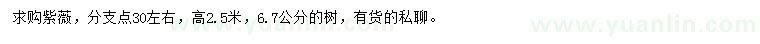 求購高2.5米紫薇