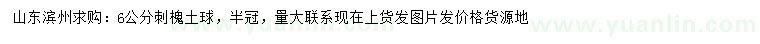 求購6公分刺槐