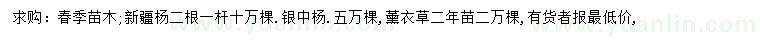 求購新疆楊、銀中楊、薰衣草