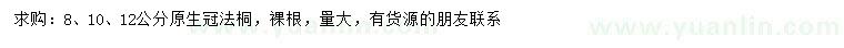 求購8、10、12公分原生冠法桐