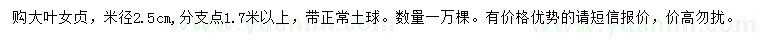 求購米徑2.5公分大葉女貞