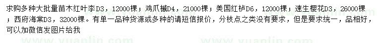 求購紅葉李、雞爪槭、美國紅櫨等