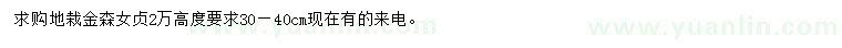 求購高30-40公分地栽金森女貞