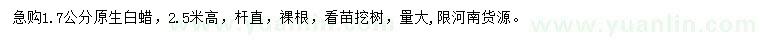 求購1.7公分原生白蠟