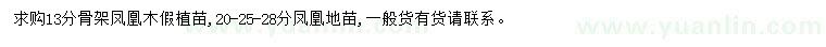 求購13公分骨架鳳凰木、20、25、28公分鳳凰地苗