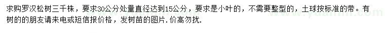 求購30量15公分羅漢松