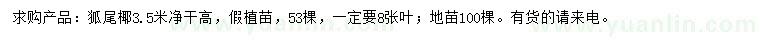 求購3.5米狐尾椰