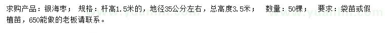 求購桿高1.5米銀海棗