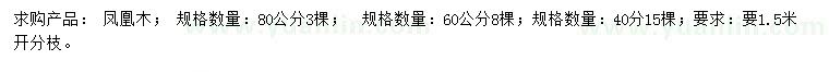 求購40、60、80公分鳳凰木