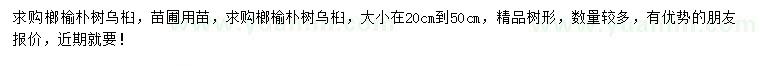 求購榔榆、樸樹、烏桕