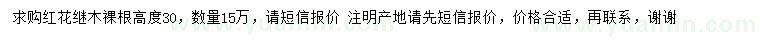 求購高30公分紅花繼木