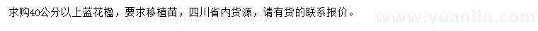 求購(gòu)40公分以上藍(lán)花楹