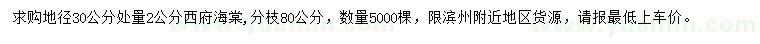 求購30公分量2公分西府海棠