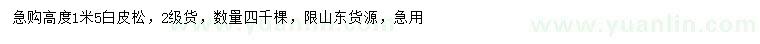 求購高1.5米白皮松
