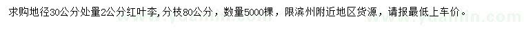 求購30公分量2公分紅葉李