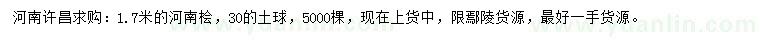 求購1.7米河南檜
