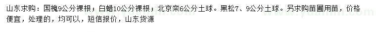 求購國槐、白蠟、北京欒等