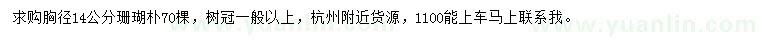 求購胸徑14公分珊瑚樸