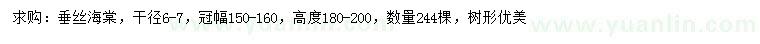 求購冠幅150-160公分垂絲海棠