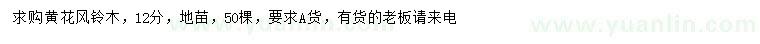 求購12公分黃花風(fēng)鈴木