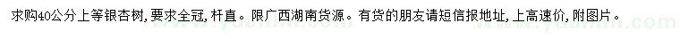 求購40公分銀杏