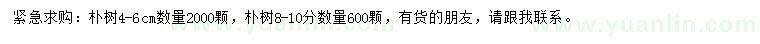 求購4-6、8-10公分樸樹(shù)