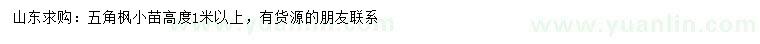 求購高1米以上五角楓