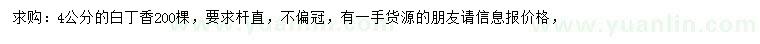 求購4公分白丁香