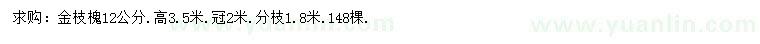 求購12公分金枝槐