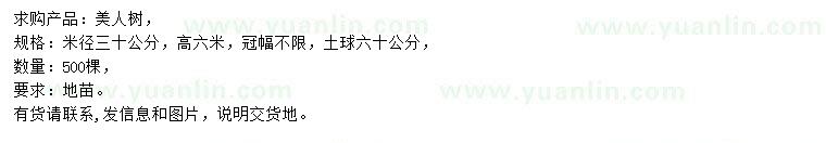 求購米徑30公分美人樹(shù)