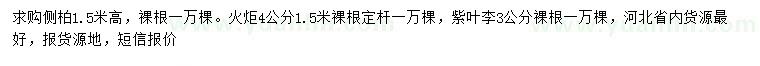 求購側柏、火炬、紫葉李