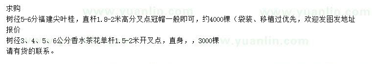 求購樹(shù)徑5-6公分福建尖葉桂、樹(shù)徑3、4、5、6公分香水茶花