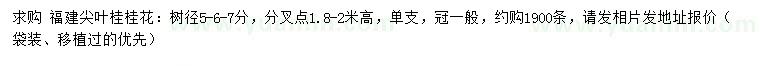 求購5、6、7公分福建尖葉桂花