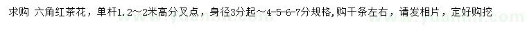 求購3、4、5、6、7公分六角紅茶花
