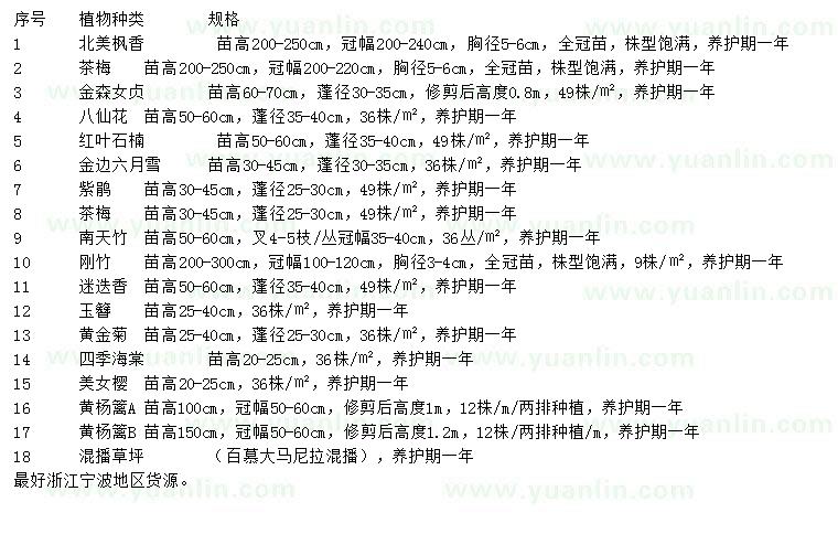 求購(gòu)北美楓香、茶梅、金森女貞等