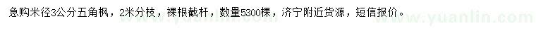 求購米徑3公分五角楓