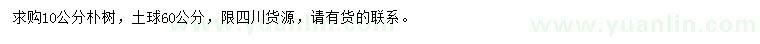 求購10公分樸樹