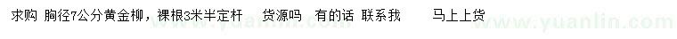 求購胸徑7公分黃金柳