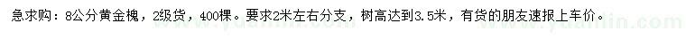 求購8公分黃金槐