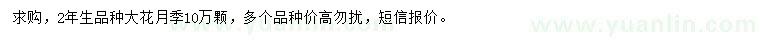 求購(gòu)2年生大花月季