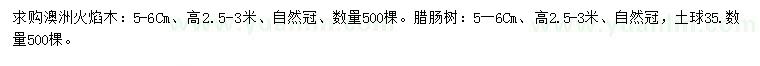 求購(gòu)5-6公分澳洲火焰木、臘腸樹(shù)