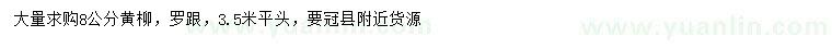 求購8公分黃柳