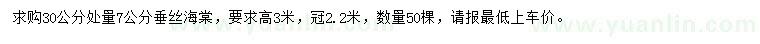 求購30公分量7公分垂絲海棠