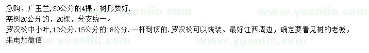 求購廣玉蘭、欒樹(shù)、羅漢松