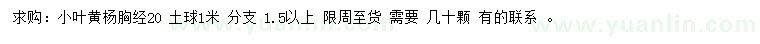 求購胸徑20公分小葉黃楊