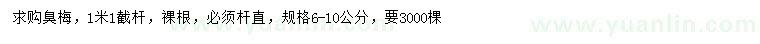 求購6-10公分臭梅