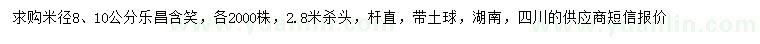 求購米徑8、10公分樂昌含笑